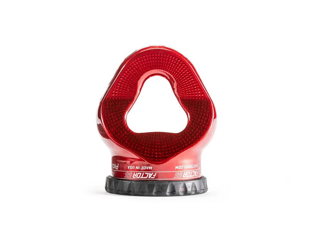 Factor 55 Prolink E (Expert)